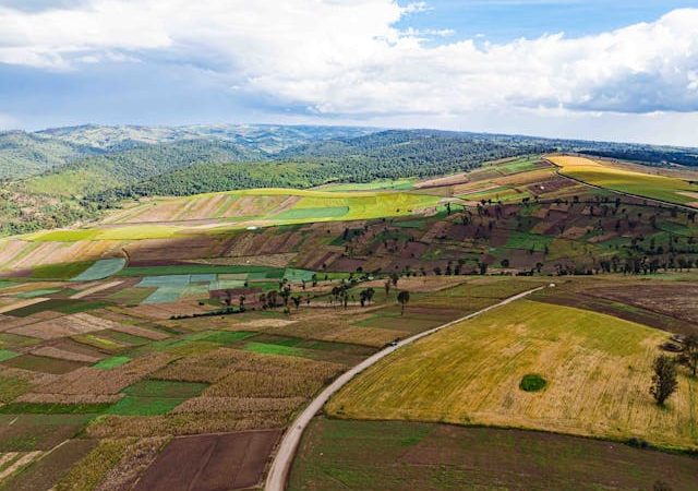 Land Ownership Rights and Recent Land Disputes in Kenya