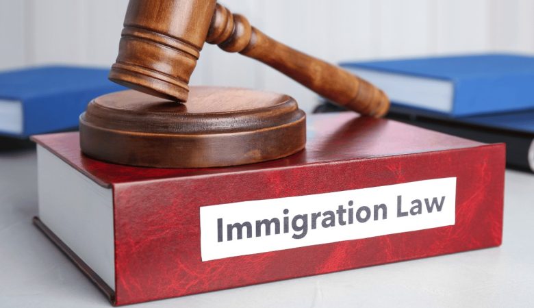 Navigating Kenya’s Immigration Legal Framework