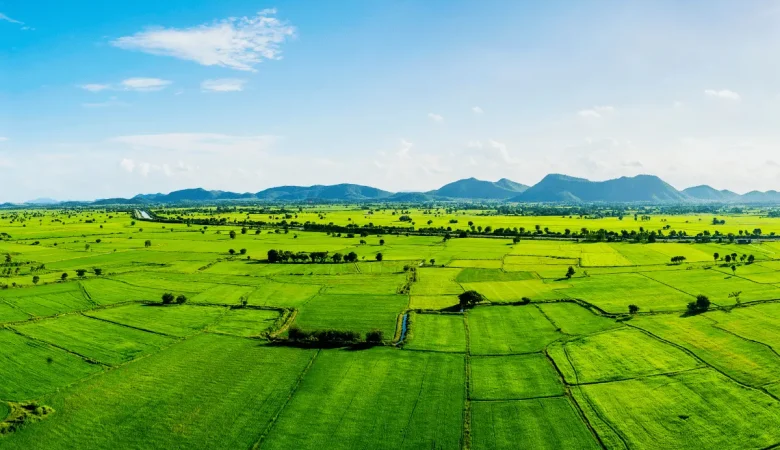 Understanding Land Ownership in Kenya