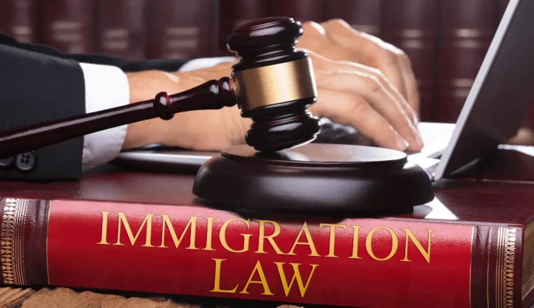 Legal Opinions on Immigration Law in Kenya